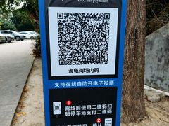 -广东惠东海龟国家级自然保护区