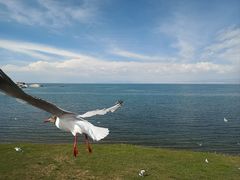 -青海湖国家重点风景名胜区