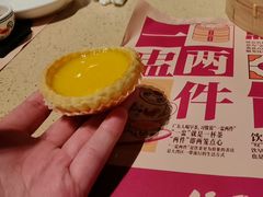 松化鸡蛋挞-点都德(汇盈广场店)