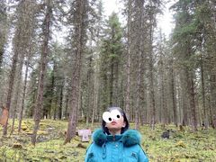 -硗碛藏寨·神木垒景区