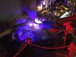 -恐龙探索乐园(磁器口店)