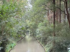 -同里国家湿地公园