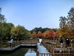 -五缘湾湿地公园