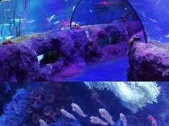 -沈阳海洋探索中心