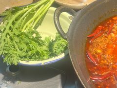 -阳阳老火锅(小南门店)