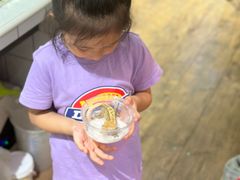 -酷以爬仙阁实体爬宠店·守宫·蜥蜴·专业繁育