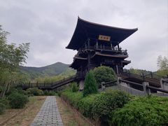 -大唐贡茶院