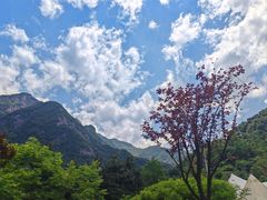 -秦岭终南山世界地质公园翠华山景区