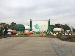 -上海都市菜园