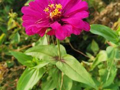 -白塘生态植物园