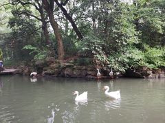 -兰亭风景区