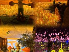 -华谊兄弟（长沙）电影小镇