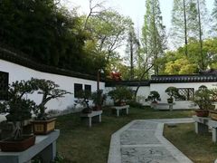 -上海醉白池公园