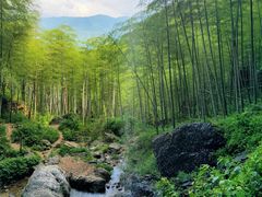 -湖州龙王山景区