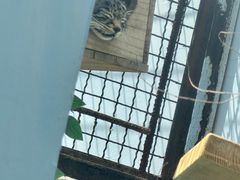 -青藏高原野生动物园