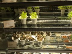 -半岛翡丽海鲜自助餐厅(观风亭店)