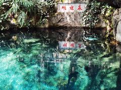 -蝴蝶泉公园