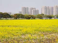 -嘉北郊野公园