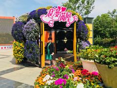 -荷兰花海