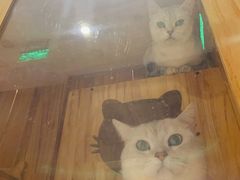 -津菜宋记老房子(鼓楼店)