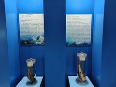 -上海海洋大学鱼文化博物馆(军工路校区)