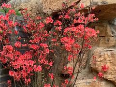 -如意馄饨(太平北路店)