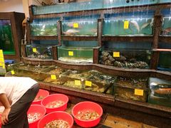 水产区-新梅园不夜粥(龙华店)
