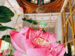-查龙寺