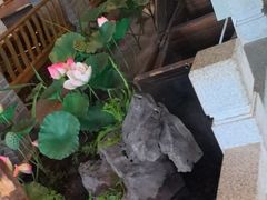 -紫腾大院·南京菜(江宁店)