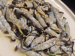 -张家卫·阳江菜·小海鲜(肥婆湾桥店)