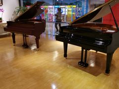 -小小莫扎特钢琴馆(香港名都店)