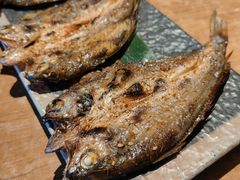 -喝丢一只鞋海鲜烧烤·海肠捞饭(东关街店)