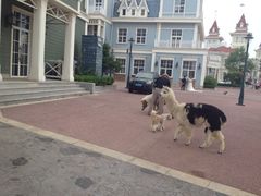 iphone_upload_pic-悦港(悦港酒店)