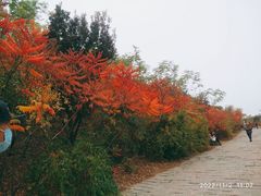 -南翠屏公园