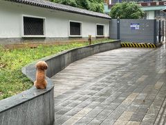-长沙国金中心异国印象酒店
