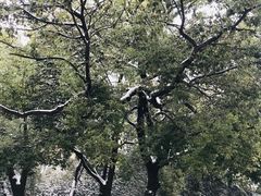 -南昌八一起义纪念馆