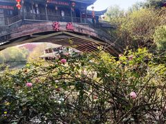 -杭州宋城