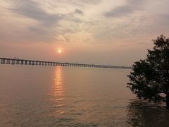 -宝安西湾红树林湿地公园