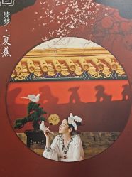 -金夫人婚纱摄影(总店)