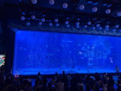 -烟台海昌鲸鲨海洋公园