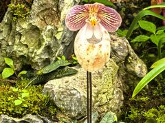 -国家植物园南园