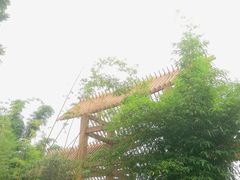 -桤木河湿地公园