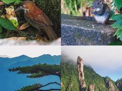 -三清山风景名胜区