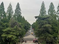 -明故宫遗址公园