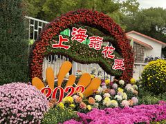 -上海共青森林公园