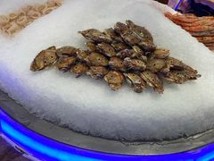 -肥肥牛鲜蚝海鲜自助(红山店)