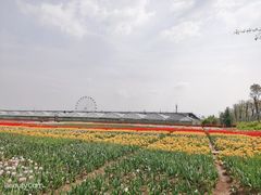 -云幽谷旅游区