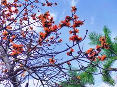 -花都广场