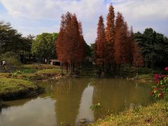 -森波拉奇妙世界