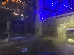 -汉拿山温泉度假酒店